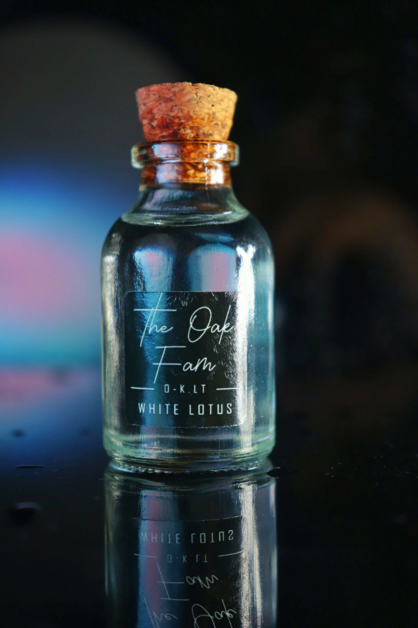Commercial Photography
